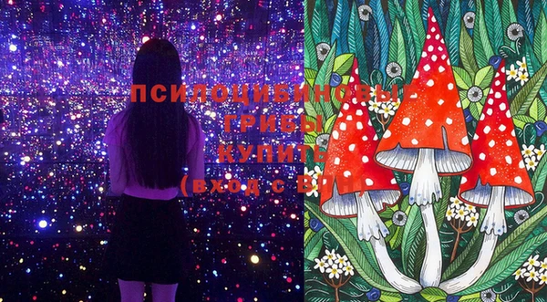 спайс Баксан